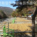 청천화양동관광농원  초롱이 캠핑장 이미지