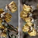 논현1동 주민센터 이미지