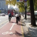 자전거도로 옆 이미지