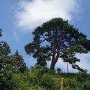 와운골가든 이미지