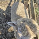 우천목장 이미지