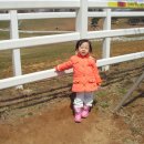 희재목장 이미지