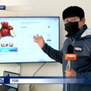청송사과 - 수원시 장안구 경수대로878번길 12 | 청송사과