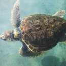 바다동물병원 이미지