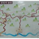 태릉입구역 4번출구 버스정류장 이미지