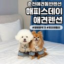 펫뛰뛰 | [해피스데이 애견펜션] 춘천애견동반펜션 펫프렌들리 숙소 재방문 후기