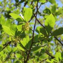 장고도둘레길 이미지