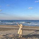 런던 애견하우스 이미지