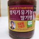 땅지기딸기쨈 | 우리 아이를 위한 순수 [땅지기 유기농 딸기잼]