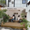 광주 동명동 초신상카페 프사맛집 피스풀하우스 내돈내산 후기