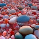 더 행복약국 이미지