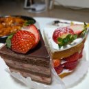 선속초코다리냉면 | [25년 15~16W] 임신 안정기 15~16주차 셋이서 보내는 크리스마스와 새해 맞이 연말 파티