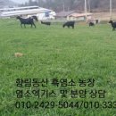 동산흑염소농장 이미지