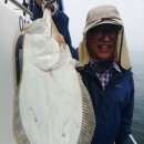 안면도바다처럼 이미지