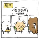 언니포차 이미지