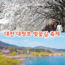 신탄진고네거리 티스토리