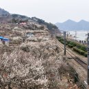 원동농장 이미지