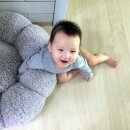 마냥귀엽개 이미지