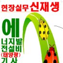 금성에너지태양광발전소 이미지