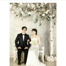 차시원 카카오 검색결과