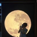 세븐일레븐 강릉중앙점 이미지