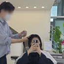 건니크 이미지