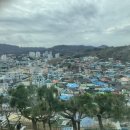 동해약국 | 동해 여행