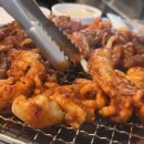 멍텅구리 이미지