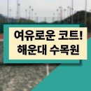 (2코트)고삼테니스장 | 해운대 수목원 테니스장 예약 방법 및 주차 정보를 담은 찐 코트 후기