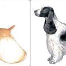 코카 24시 동물병원 이미지