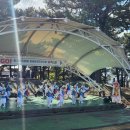 서귀포시 동홍동 주민센터 | 활기찬 동홍동!2025 동홍동 주민자치회 페스티벌 “걷GO, 보GO, 즐기GO 3GO!” 현장 스케치