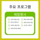워크온코리아 이미지