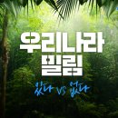 밀림