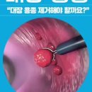 장튼튼홍내과의원 이미지