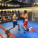 드래곤복싱클럽 백마점 이미지