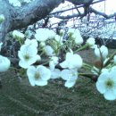 광석농장 이미지