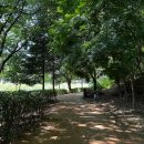 광교호수로418번길 이미지