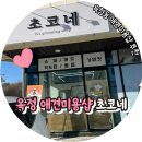 초코네 애견샵 | 양주 옥정동 애견미용샵 초코네 숑숑이 미용한 날