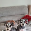 선아덴탈 이미지