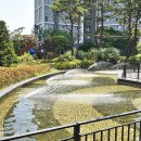 수원-파장-파장-2 이미지