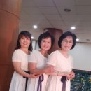변산산돌농원 네이버블로그