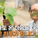 [Full] 한국기행 - 산사에서의 하루 2부 차 향기 그윽하게 이미지