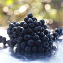 소야농장 이미지