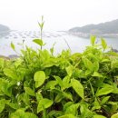 청산약국 이미지