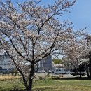 청림동 푸른숲 이미지