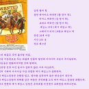 롱 라이더스 (Long Riders , 1980) 이미지