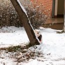 간드리집 이미지