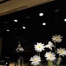 송파 자이언트플라워 피아노 연주회 공간연출 실크 에바폼 데이지 무대 꽃장식 후기