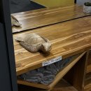 THE A-GYM | '25 발리 8일 차(4) 🇮🇩 [길리A] 길리 아이르섬 헬스장 ‘The Gym Gili Air’ 솔직 방문 후기