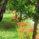 북평고등학교 이미지